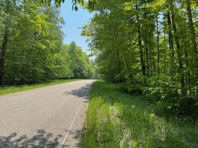 /international/us/co-rd-98-lot-17-mcmillan-mi-110108222337/