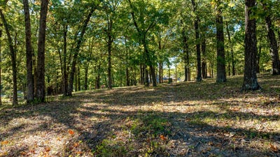 /international/us/scenic-drive-grove-ok-110100618732/