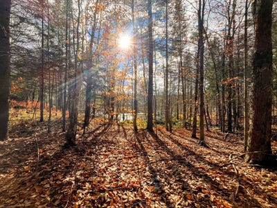 /international/us/00-boyd-pond-rd-russell-ny-110103389969/