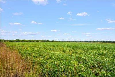 /international/us/lot-44-smasal-road-sedalia-mo-110105084673/