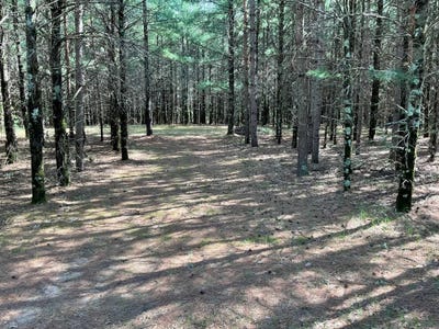 /international/us/5-7-acres-browndeer-avenue-friendship-wi-110108504832/