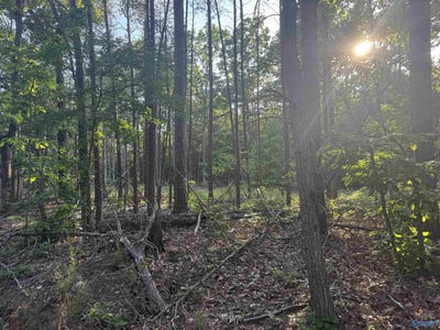 /international/us/475-summer-house-mountain-road-cherokee-al-110108130743/