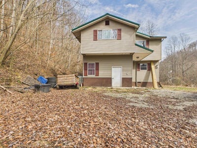 /international/us/323-upper-silver-creek-road-crum-wv-110105884553/