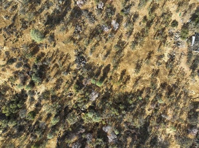 /international/us/1203-corral-drive-coarsegold-ca-110100245269/