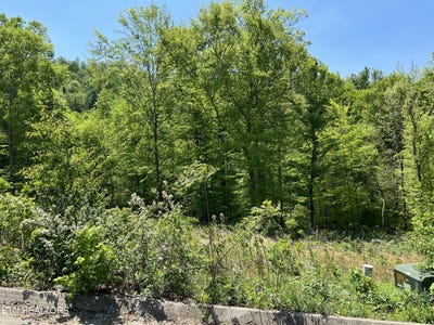 /international/us/lot-32-timber-creek-rd-maynardville-tn-110099010235/