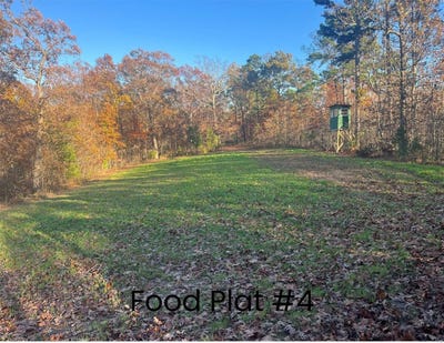 /international/us/0-320-acres-lodge-road-potosi-mo-110095653700/