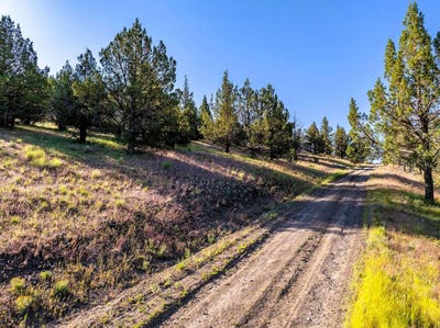 /international/us/737-raccoon-lane-alturas-ca-110109065052/