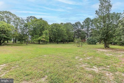 /international/us/nottingham-road-0-louisa-va-110108394853/