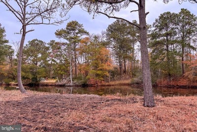 /international/us/lot-685-bradley-ln-chincoteague-island-va-110109084493/