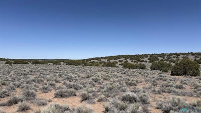 /international/us/horseshoe-trail-road-quemado-nm-110108416007/