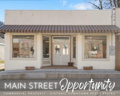/international/us/22186-main-street-reeds-spring-mo-110108230578/