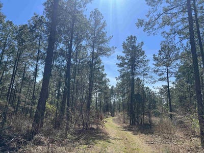 /international/us/11-13-19-ouachita-cr-183-chidester-ar-110107543041/
