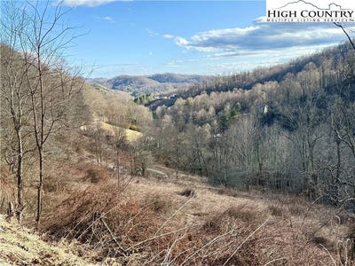 /international/us/willard-johnson-road-vilas-nc-110105955768/