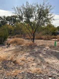 /international/us/3044-rosita-valley-road-eagle-pass-tx-110096063195/