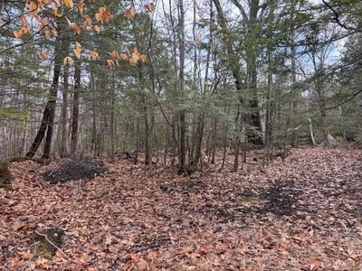 /international/us/desert-pond-road-lot-4-mount-vernon-me-110107400598/