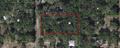 /international/us/8585-n-maple-avenue-crystal-river-fl-110101349184/?lang=zh-cn
