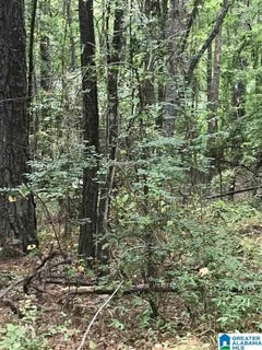 /international/us/s-lakeside-lane-lot-20-alpine-al-110100421013/