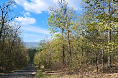 /international/us/rockfish-heights-nellysford-va-110107408738/