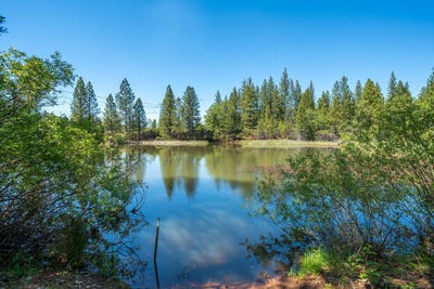 /international/us/29822-state-highway-44-shingletown-ca-110107894885/