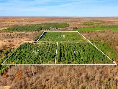 /international/us/15-acres-d-wallin-road-colfax-twp-mi-110097881126/