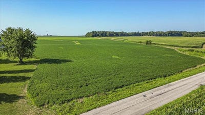 /international/us/xxx-kk-road-waterloo-il-110101151769/?lang=fr