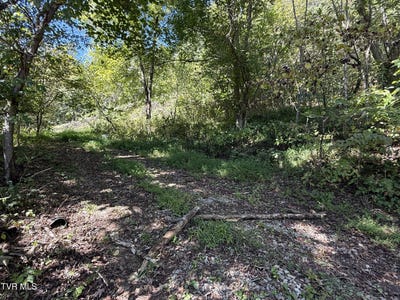 /international/us/1128-blue-springs-road-elizabethton-tn-110110349906/