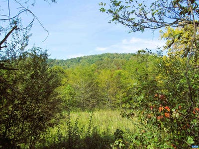 /international/us/fortunes-cove-ln-lovingston-va-110120085484/