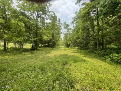 /international/us/1028-east-pumpkin-valley-road-eidson-tn-110101013849/?lang=zh-tw