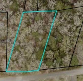 /international/us/mckenzie-circle-pawleys-island-sc-110119991922/