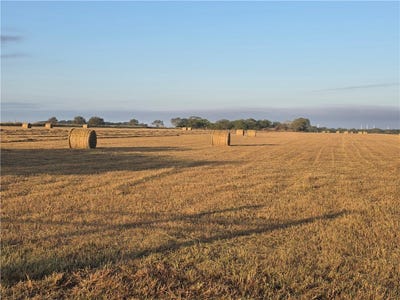 /international/us/7017-county-road-2253-sinton-tx-110105245625/