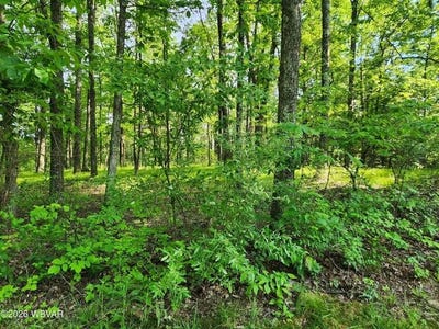 /international/us/279-oak-lane-lot-79-muncy-valley-pa-110108849904/