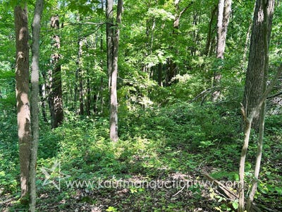 /international/us/0-hoyt-ridge-anderson-ridge-littleton-wv-110108661363/