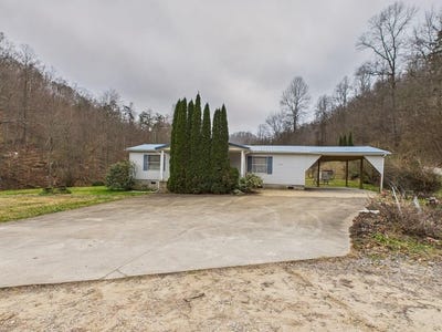 /international/us/207-amber-lane-ulysses-ky-110104497305/