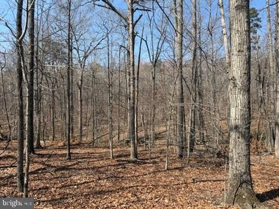/international/us/countryside-lane-lot-3-lignum-va-110107876619/