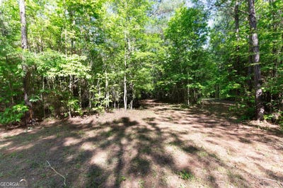 /international/us/apt-to-miss-road-monticello-ga-110110215896/
