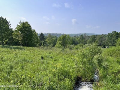 /international/us/1943-state-route-10-jefferson-ny-110100312369/