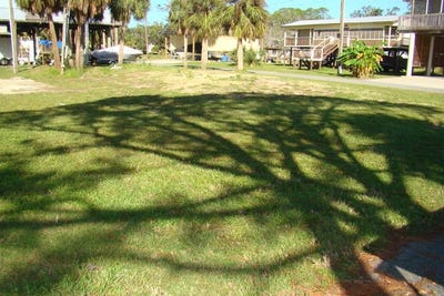 /international/us/60-1st-ct-horseshoe-beach-fl-110102977263/