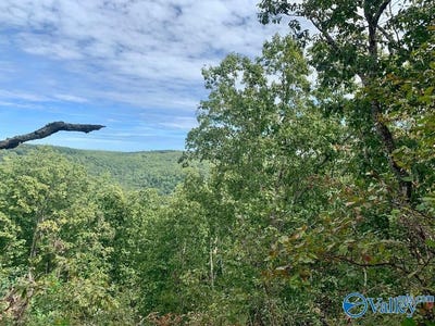 /international/us/640-blowing-cave-road-gurley-al-110110354056/