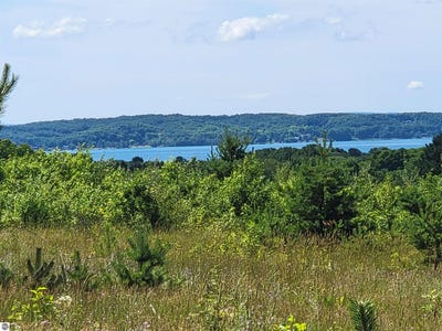 /international/us/parcel-d-cemetery-road-alden-mi-110100940346/?lang=zh-tw