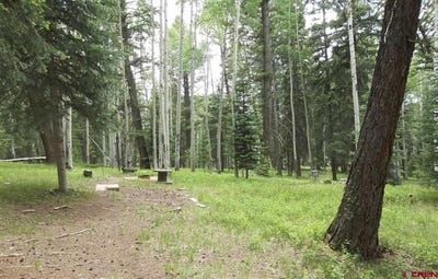 /international/us/191-aspen-trail-cimarron-co-110099156232/