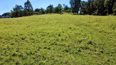 /international/us/908-earl-broady-road-evensville-tn-110100924925/