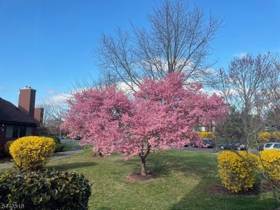 /international/us/25-bloomingdale-dr-hillsborough-twp-nj-110108871319/