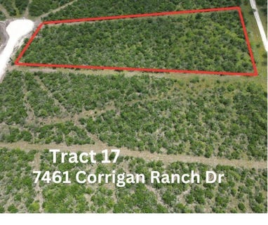 /international/us/7460-corrigan-ranch-tract-17-road-lot-0-skidmore-tx-110088435297/