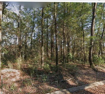 /international/us/myrtle-street-lot-62-level-plains-al-110109611250/