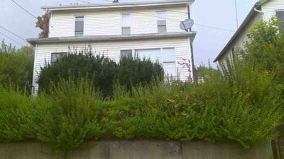 /international/us/220-10th-ave-tarentum-pa-110105092741/