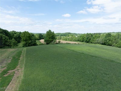 /international/us/county-road-160-millersburg-oh-110099816736/