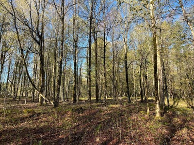 /international/us/00-lafaver-rd-hermon-ny-110105117169/
