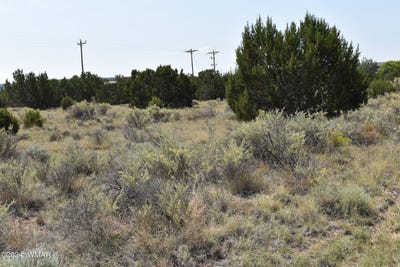 /international/us/34-alpine-lane-concho-az-110090692993/