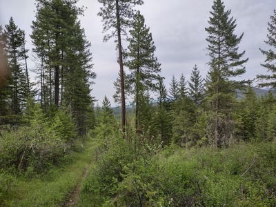/international/us/e-jump-off-rd-valley-wa-110107995557/