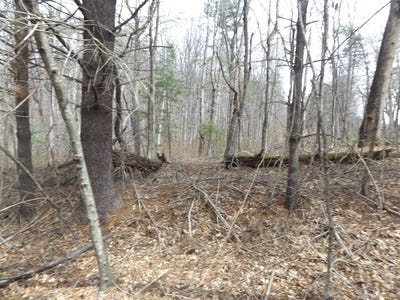 /international/us/619-shady-ln-lot-1-laurel-fork-va-110106679375/